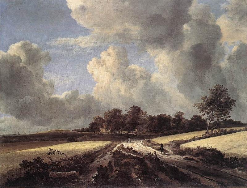 Jacob van Ruisdael Wheat Fields France oil painting art